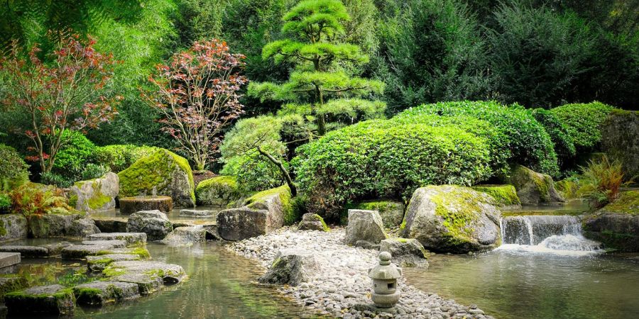 Landscaping with Native Plants in Minnesota