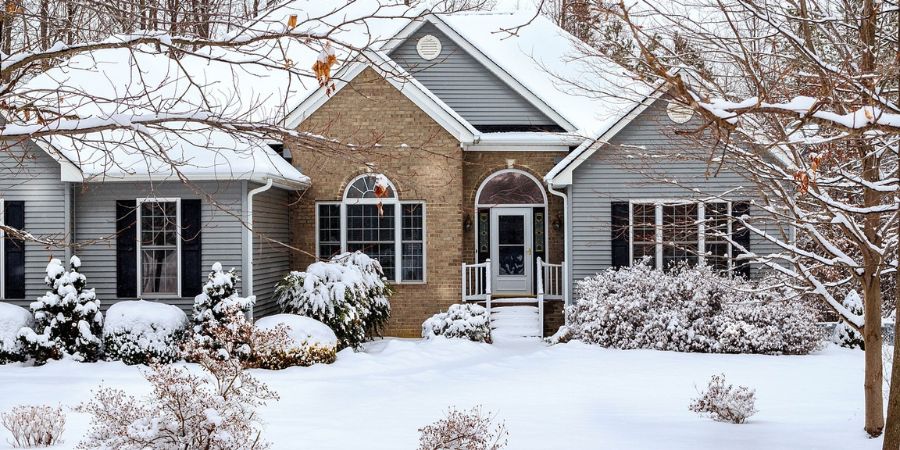 winter gardening in mn