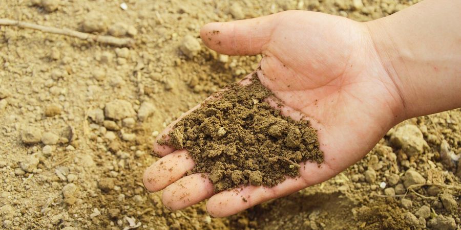 bulk soil