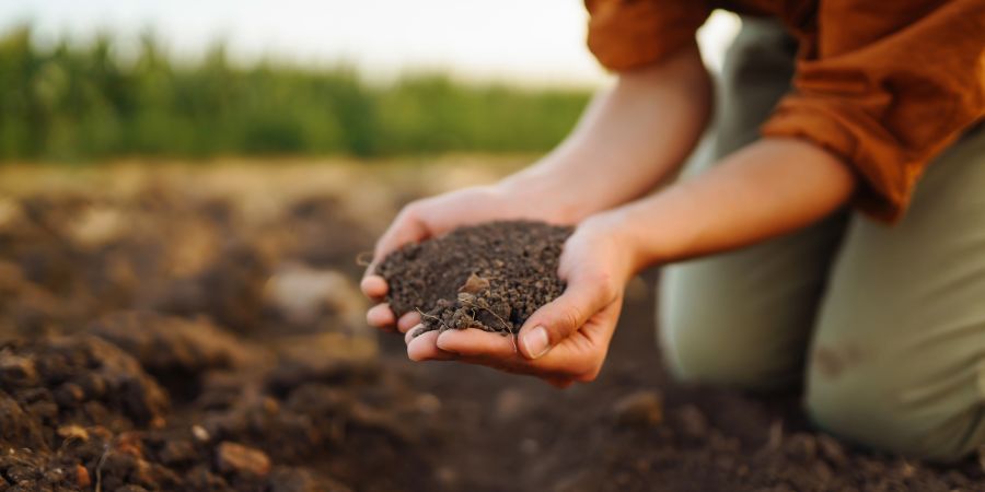 composting